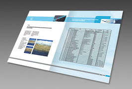 上海瑭晟環(huán)保技術(shù)產(chǎn)品畫(huà)冊(cè)與浙江中建網(wǎng)絡(luò)科技股份 專(zhuān)業(yè)網(wǎng)站建設(shè)服務(wù)指南