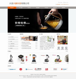 大連新圖聞科技 專業(yè)網(wǎng)站建設(shè)與制作服務(wù)解析